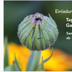 Zirl Garten (Gemeinschaftsgarten), Einladung