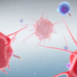 Animation zu Krebsimmuntherapie