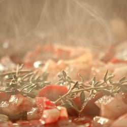 Food Shots (Video)